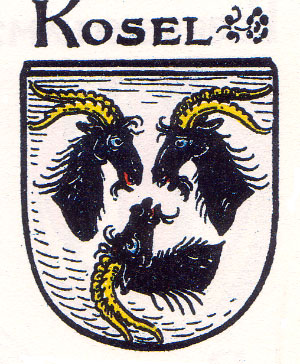 wappen-cosel